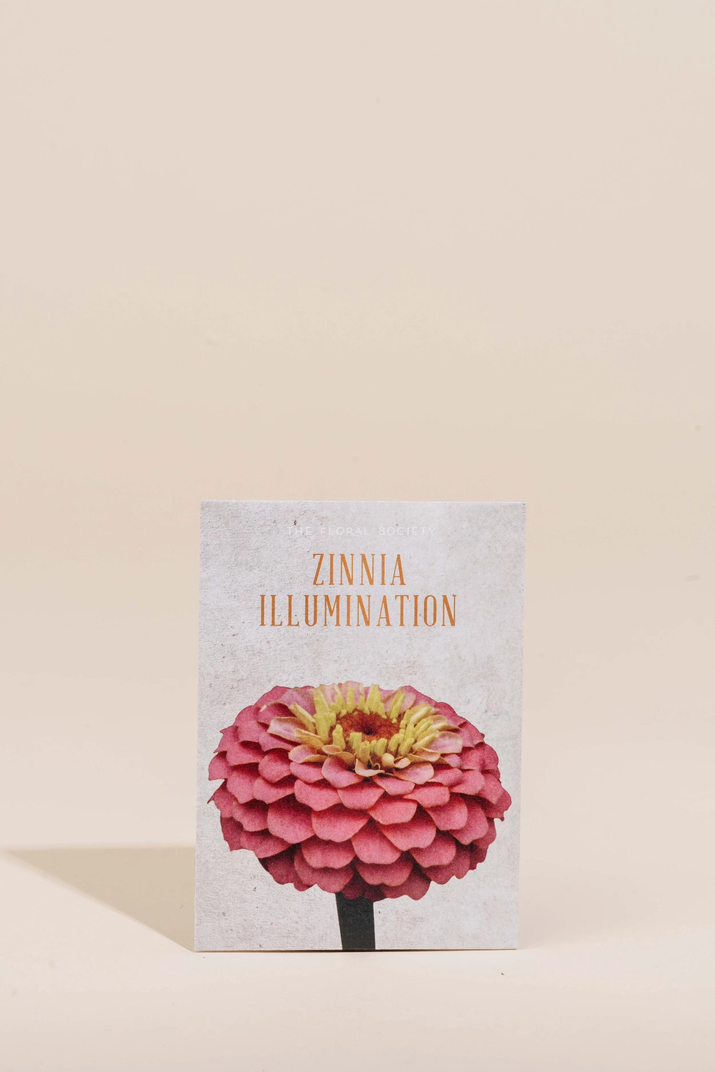 Seed Packs - Thumbnail 2